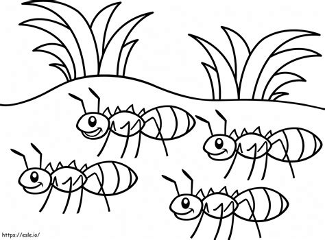 Formigas Para Colorir - Quatro formigas para colorir