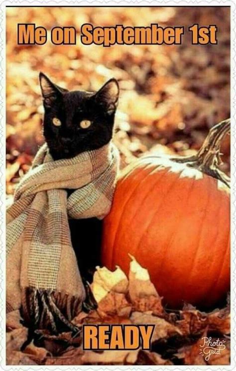 30 Fall Memes For The Autumn Obsessed Funny Fall Memes