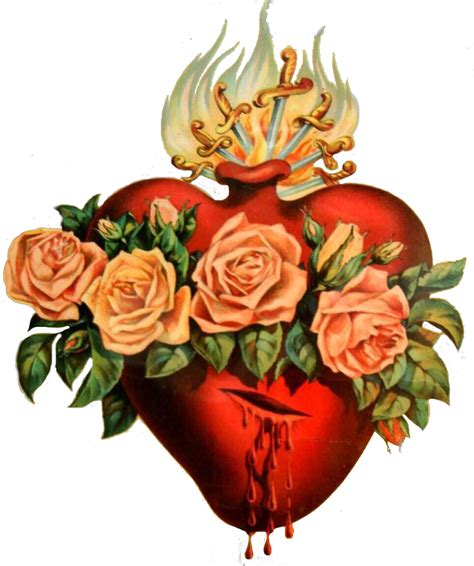 Immaculate Heart Of Mary Png