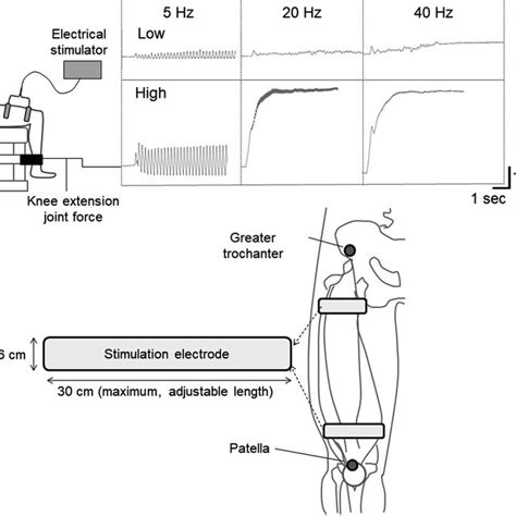 Experimental Settings For Neuromuscular Electrical Stimulation And