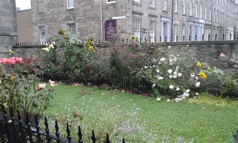 No011 Peas, Love and Bumblebees in the secret gardens of Edinburgh