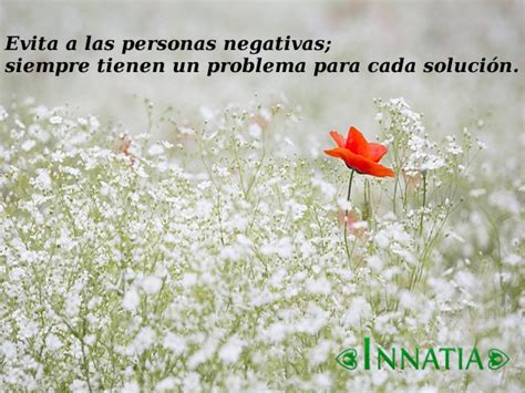 Fotos En Imágenes De Flores Hermosas Con Frases