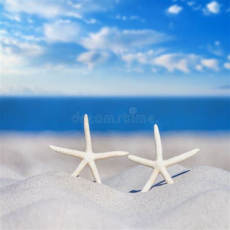 View Of A Beach With A Pair Of Starfish On The Sand Under The Hot