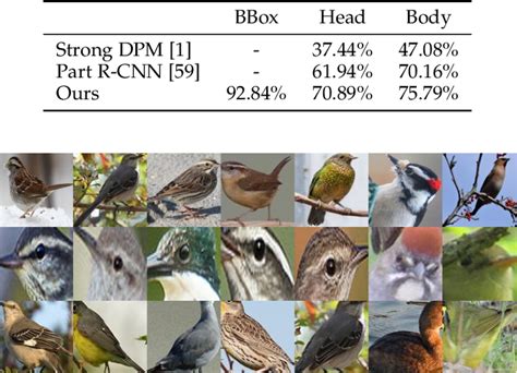 Table From Webly Supervised Fine Grained Visual Categorization Via