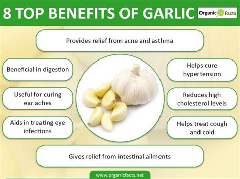 Interesting Benefits Of Garlic Organic Facts