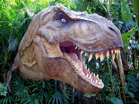 Dinosaur 4k Tyrannosaurus Rex Hd Wallpaper Rare Gallery