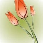 Flower, Tulip - PNG Logo Vector Brand Downloads (SVG, EPS)