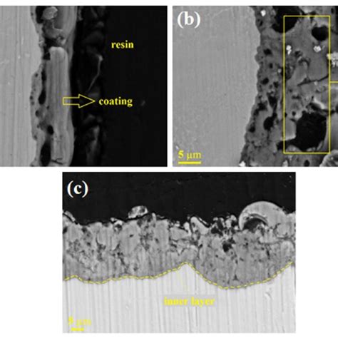 Eds Spectra And Sem Micrographs For Peo Coating Samples Prepared Under