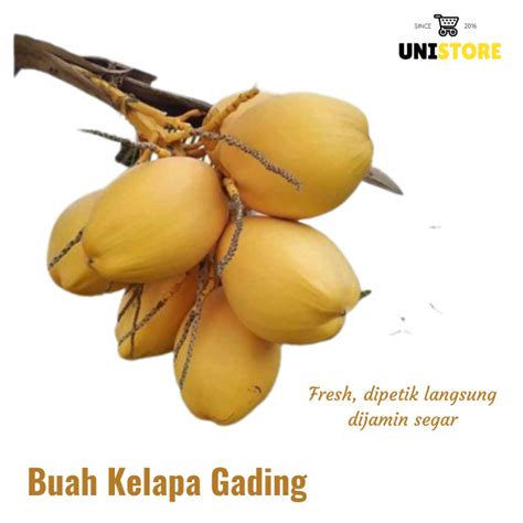 Buah Kelapa Gading Muda Segar Kg Belum Dikupas Lazada Indonesia