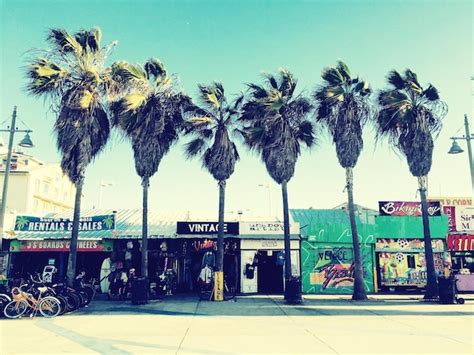 Premium Photo Palm Trees On Sidewalk By Market Stalls At Marina Del Rey