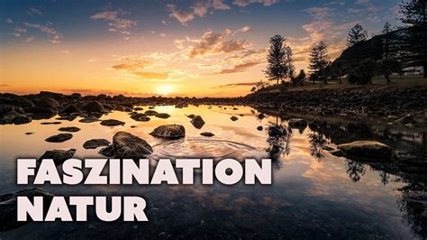 Faszination Natur In HD NATUR L Relaxing Perfekt Zum Lernen Natur In