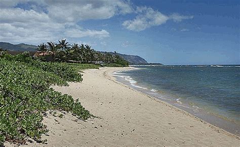 Waialua lush tropical home for sale, North Shore Oahu