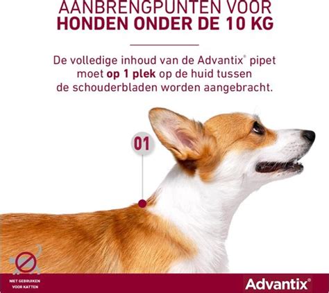 Bayer Advantix Vlooien Teken Pipetten Hond Tot 4Kg 6 Stuks Bol