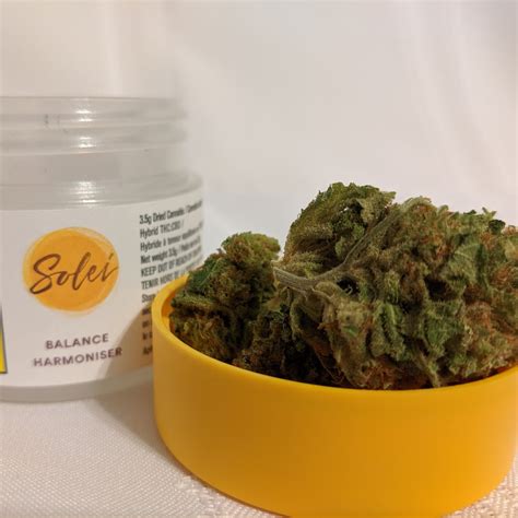 Soleil - Balance - Hybrid - CNB : r/RecPics