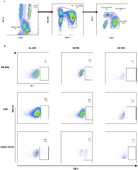 Gating Strategy For Studying Monocyte Subsets And Differential