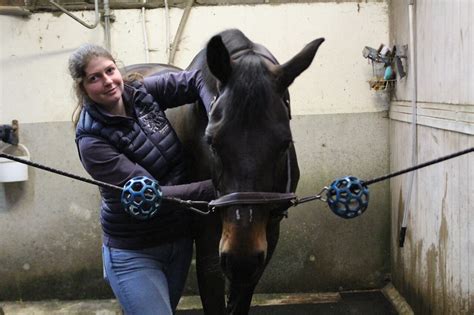 Pont l Evêque Nicole Bodmer devient masseuse pour chevaux et chiens