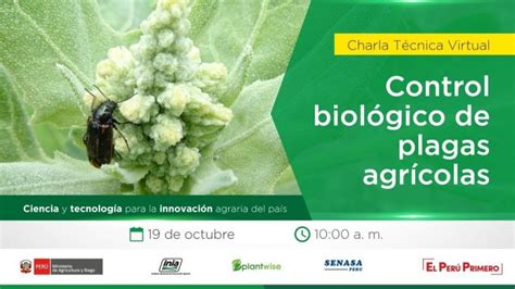 Control Biologico De Plagas Ventajas Y Desventajas [2025]