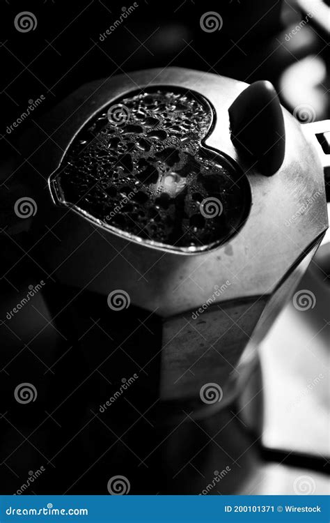 Captura Em Tons De Cinza De Um Cafeeiro Tradicional Imagem De Stock