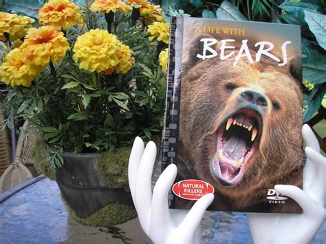 NATURAL KILLERS - PREDATORS CLOSE-UP Series: A LIFE WITH BEARS DVD ...