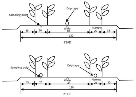 Analysis of Soil Moisture, Temperature, and Salinity in Cotton Field