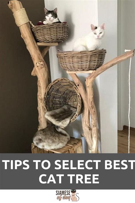 Cat Tree House Cat House Diy Cool Cat Trees Cool Cats Cat Trees Diy