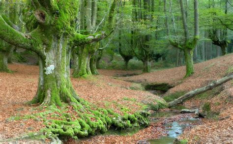 Instantes fotos de Sebastián Navarrete Paisajes otoñales 22 destinos