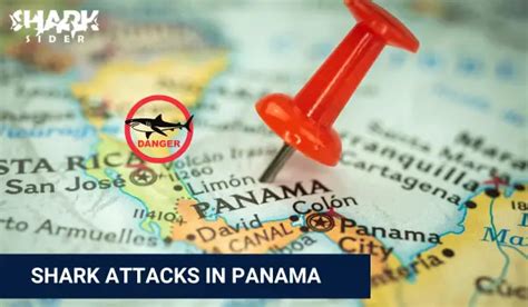 Shark Attacks in Panama [Updated January 2025]