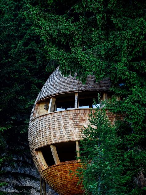 Photo 2 of 12 in These Tree Houses in the Dolomites Look Like Egg