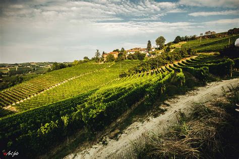 Esperienze Nelle Langhe