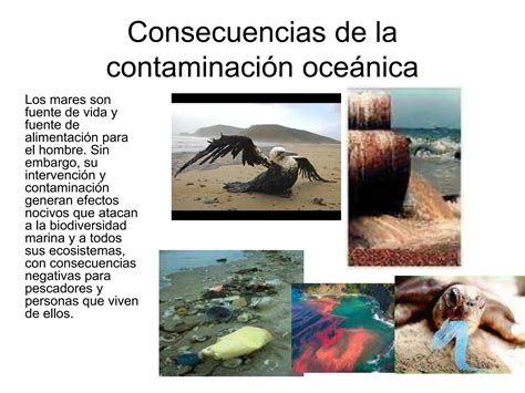 174 Proyecto Oceanos Ppt