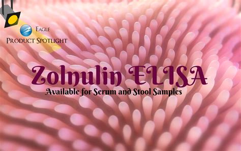 How Can Zonulin Help You Fight Diabetes Celiac And Many Other Autoimmune Disorders Eagle