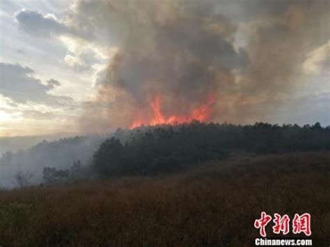 云南大理海东森林火灾得有效控制 部分地段仍存烟点湖北频道凤凰网