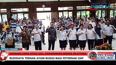 Gunakan Dana OTSUS 2023 DISNAKESWAN Mimika Pelatihan Budidaya Ternak