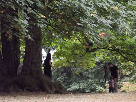 My Eclectic Thoughts Mt Tabor Park In Portland