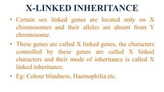 Sex Linked Inheritance PDF