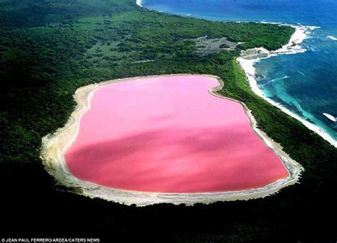 Lake Hillier: The Pink Lake in Australia » TwistedSifter