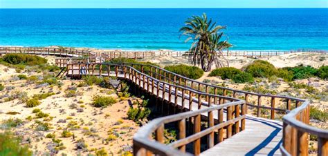 Playas De Elche Elx Elche Tiene Playas Con M S De Kil Metros De Costa