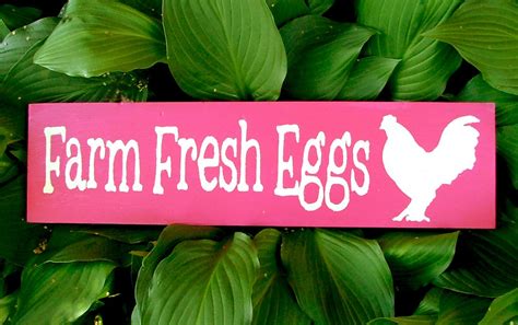 Chicken Coop Sign Farm Fresh Eggs Girly Coop Pinks Etsy