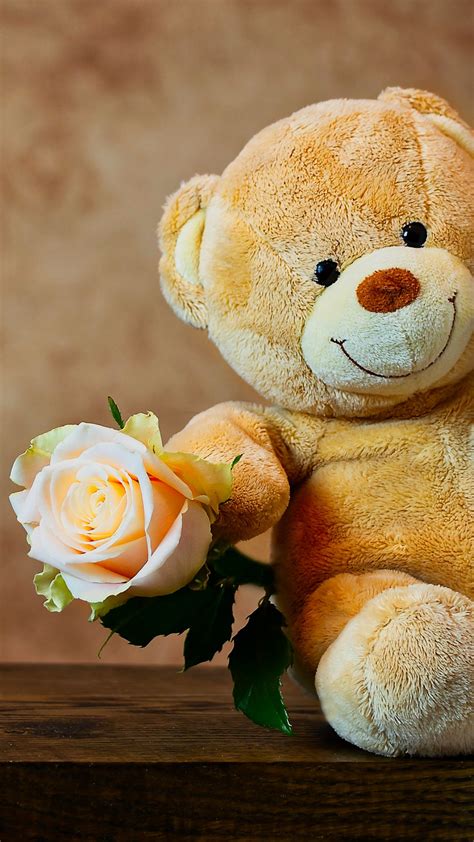 Cute Teddy Bear With Rose Wallpapers Hd Wallpapers Id 30207