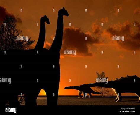 Brachiosaurus Y Diplodocus Dinosaurios Equipo Ilustraciones Ambas Son De Saurópodos Enormes