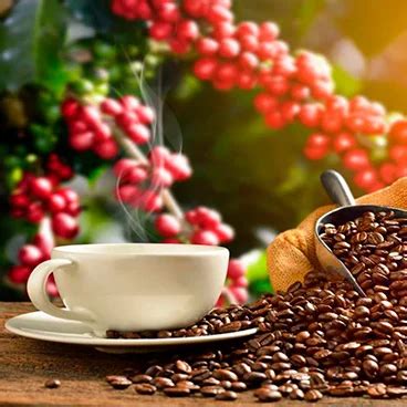 inicio  cafe