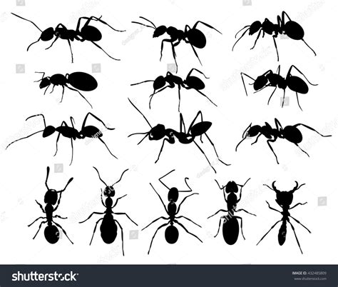 Black Ant Ant Hill: Over 440 Royalty-Free Licensable Stock Vectors ...