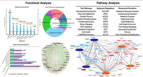 Bioinformatics Cedars Sinai