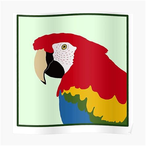 Scarlet Macaw Poster For Sale By Artbylavonne Redbubble