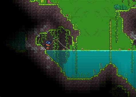 Top 10 Terraria Best Fishing Spots That Are Great Gamers Decide