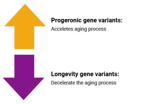 Biological Age Diagnostics Report Longevity Technology