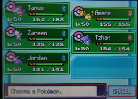 About To Challenge The Hgss Elite Four Only One Loss In The Run So Far