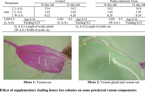 Effect Of Supplementary Feeding Honey Bee Colonies On Venom Gland