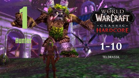 World Of Warcraft Hardcore Official Night Elf Hunter Journey No