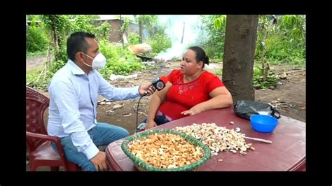 La Semilla De Marañón Un Rico Fruto Que Tiene Muchas Propiedades Youtube